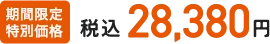 期間限定特別価格 税込28,380円
