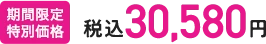 期間限定特別価格 税込30,580円