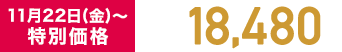 11月22日(金)～ 特別価格 税込18,480円