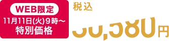 【WEB限定】11月11日(火)9時～ 特別価格 税込30,580円