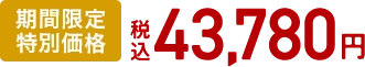 期間限定特別価格 税込43,780円